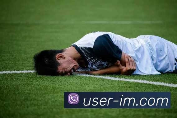 IM电竞APP 封面图