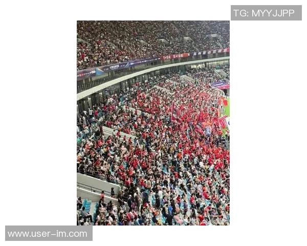 河南球迷热情高涨超21000人齐聚苏州助力足协杯决赛